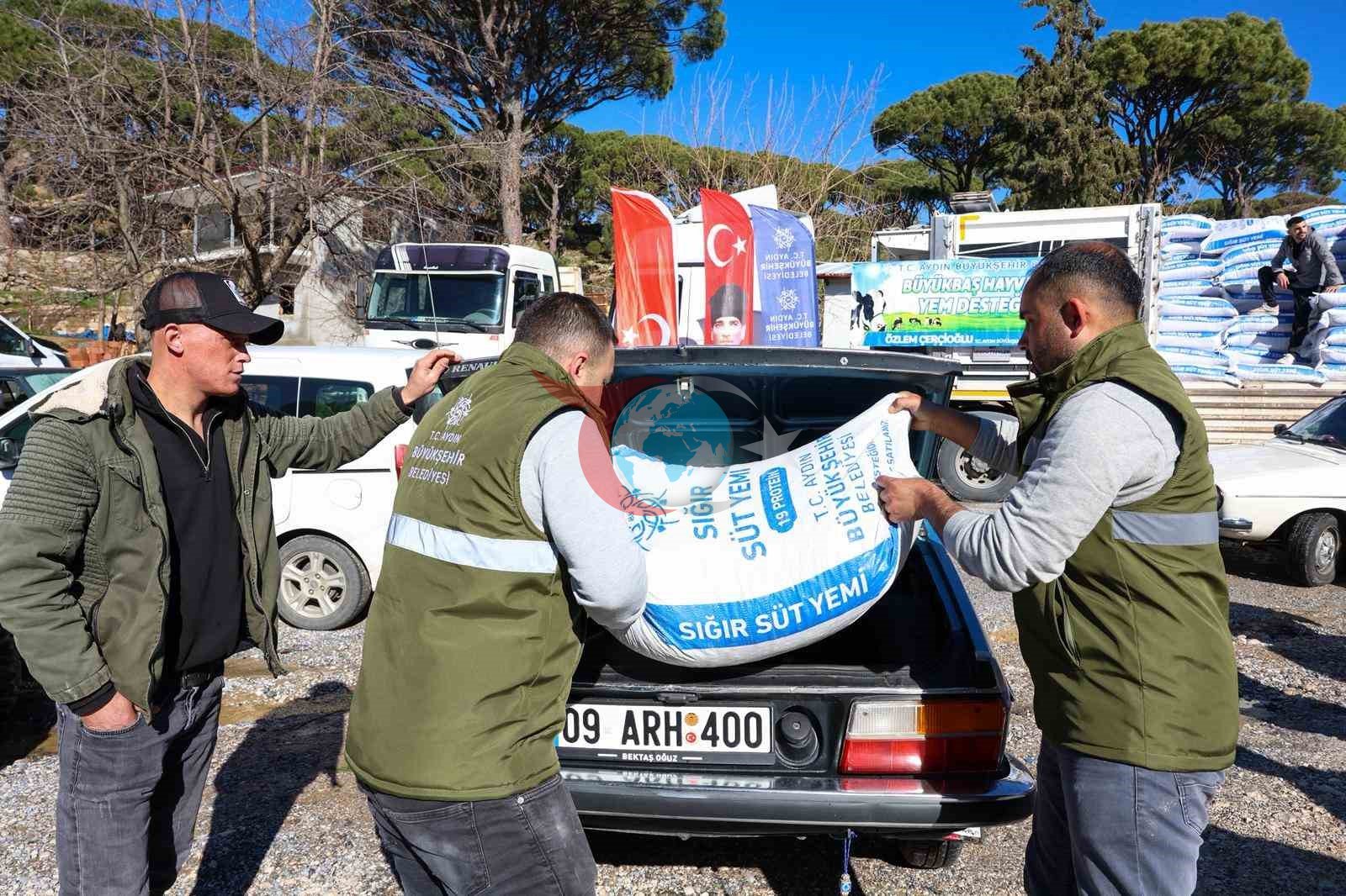 Büyükşehir’in üreticilere yem desteği devam ediyor