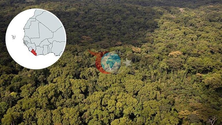 Liberyanฤฑn kanlฤฑ keresteleri ฤฐรง savaลta yaptฤฑklarฤฑyla filmlere konu oldu