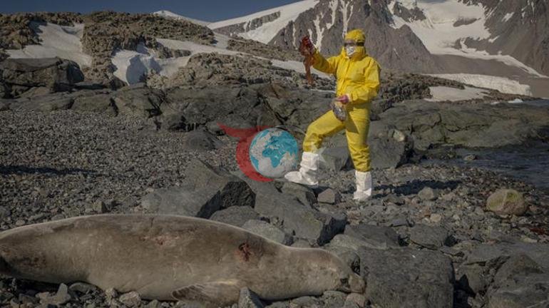 Türk bilim insanları Antarktikadaki araştırmalarıyla sağlık ve tarıma ışık tutuyor