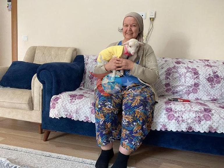 Annesi reddetti, o sahiplendi Kuzu Naciye salıncakta sallanıyor, misafirliğe gidiyor