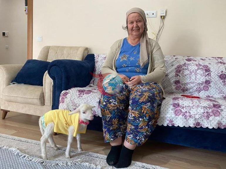 Annesi reddetti, o sahiplendi Kuzu Naciye salıncakta sallanıyor, misafirliğe gidiyor