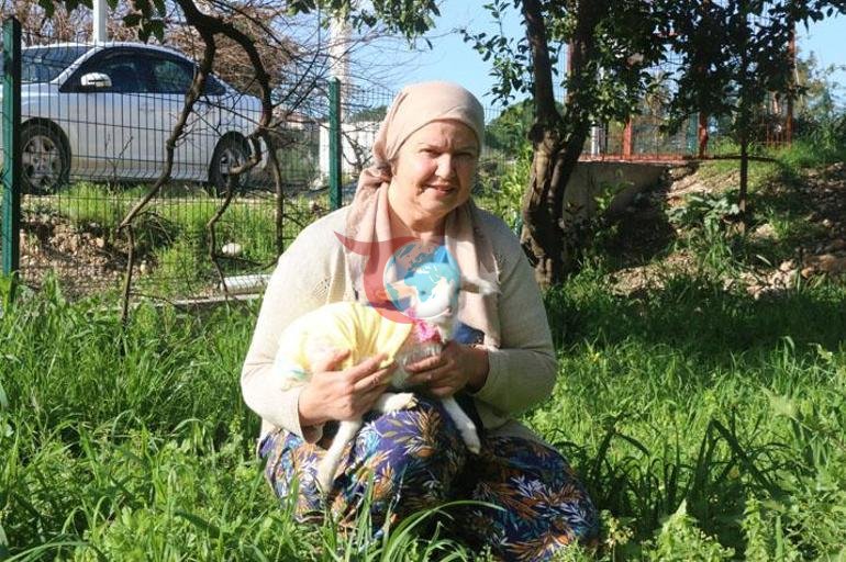 Annesi reddetti, o sahiplendi Kuzu Naciye salıncakta sallanıyor, misafirliğe gidiyor
