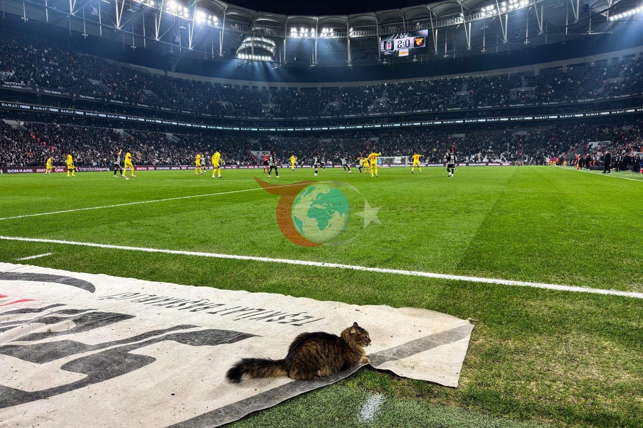 Trendyol Süper Lig'in 23. haftasında Beşiktaş ile Göztepe takımları Tüpraş Stadı'nda karşılaştı. Karşılaşma esnasında sahaya kedi girdi.