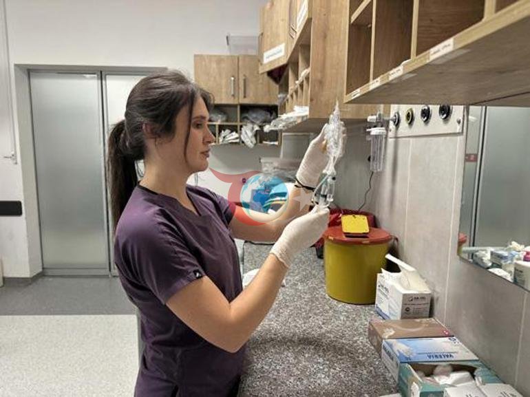 Sıra dışı yatırım: 2 senedir elime geçen her para ile inek, dana, koyun alıyorum