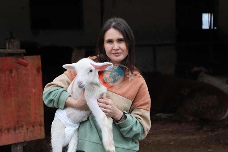 Sıra dışı yatırım: 2 senedir elime geçen her para ile inek, dana, koyun alıyorum