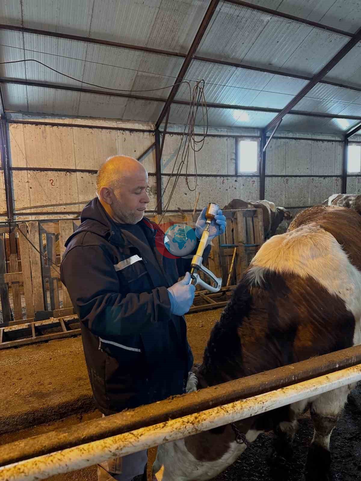 𐰀𐰖𐰑𐰃𐰣𐱅𐰀𐰯𐰀'𐰓𐰀 𐰴𐰀𐰖𐰉𐰀𐰣 𐰽𐰀𐰍𐰞𐰃𐰍𐰣𐰃 𐰴𐰆𐰺𐰢𐰀 𐰲𐰀𐰞𐰃𐱁𐰢𐰀𐰞𐰺𐰃 𐰓𐰀𐰉𐰢 𐰀𐰓𐰃𐰖𐰆𐰺