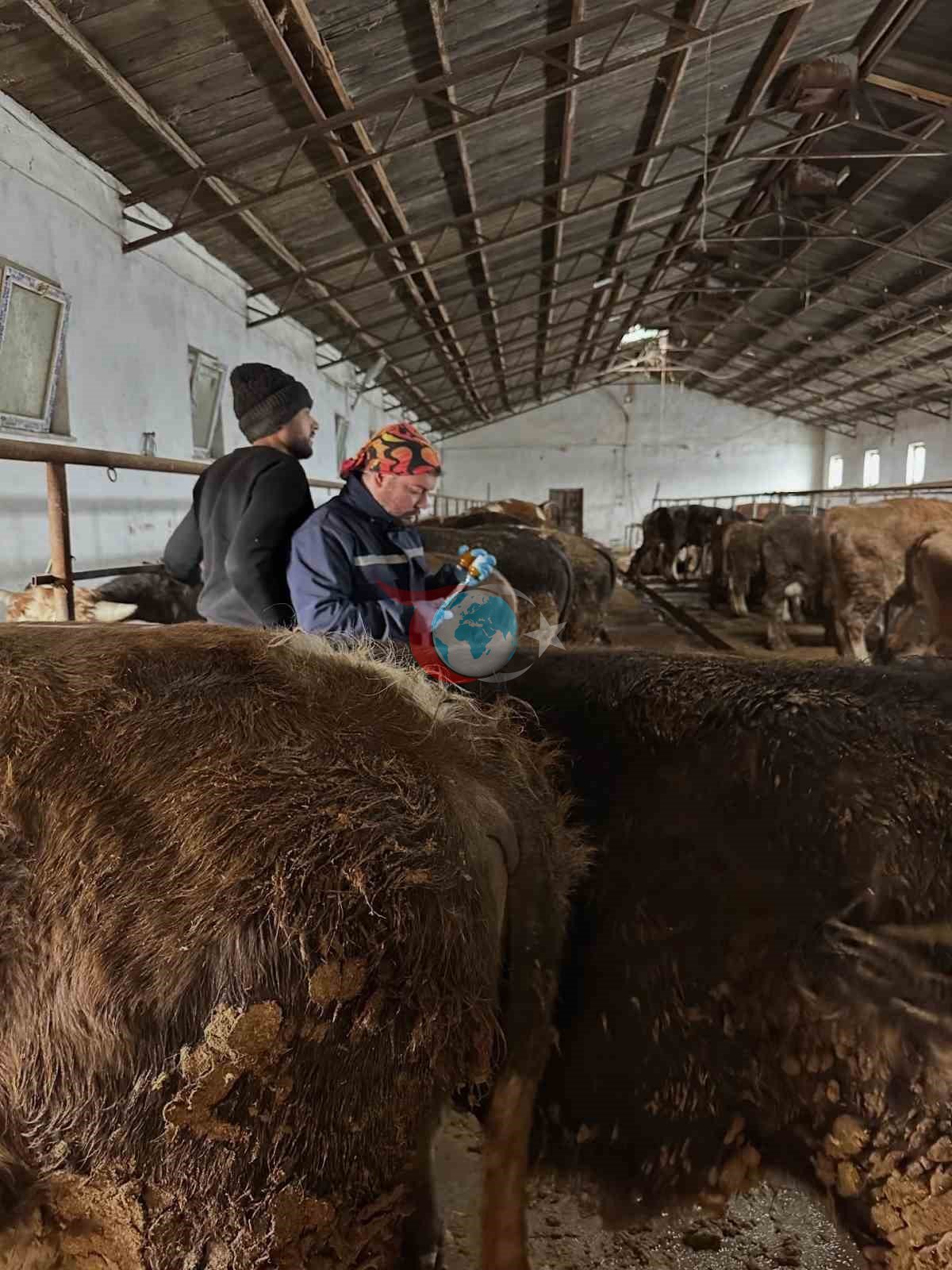 Aydฤฑntepeโde ลap aลฤฑlama ve kรผpeleme รงalฤฑลmalarฤฑ sรผrรผyor