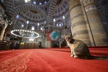 Üsküdar’ın silüetini çizen Mihrimah Sultan Camisi yüzyıllardır İstanbul’u karşılıyor