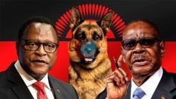 4 kรถpek iรงin 80 polis! 'Kara bรผyรผ' รผlkeyi karฤฑลtฤฑrdฤฑ: ฤฐki baลkan, tek รงฤฑkmaz