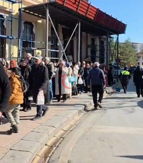 Hamsinin fiyatı 50 TL’ye kadar düştü, balık satışları hızlandı