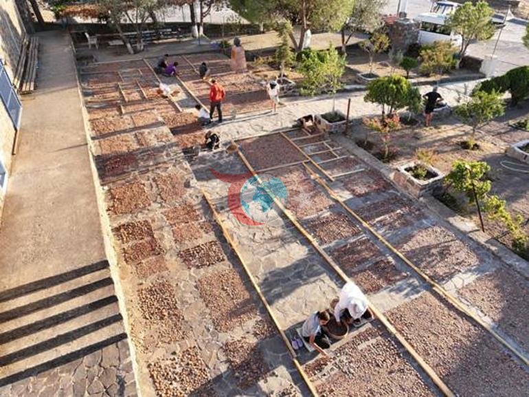 145 yıl sonra gelen büyük keşif Topraktan adeta fışkırdı: Tam 3 tane