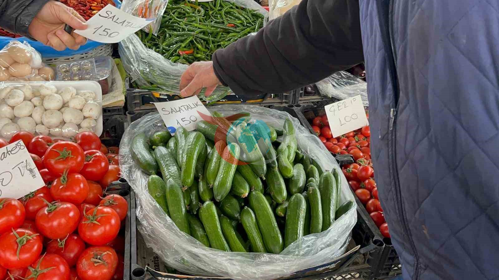 Seralar zarar gördü, Muğla’da salatalık rekor fiyata ulaştı