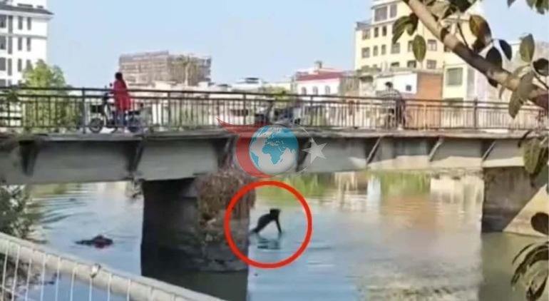 Karısıyla tartışırken çocuğunu köprüden attı Korkunç olay kameralarda