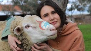 Sıra dışı yatırım: 2 senedir elime geçen her para ile inek, dana, koyun alıyorum