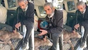 Batman’da besici, hastalanan buzağısına bagajda serum takıp başında uzun hava okudu