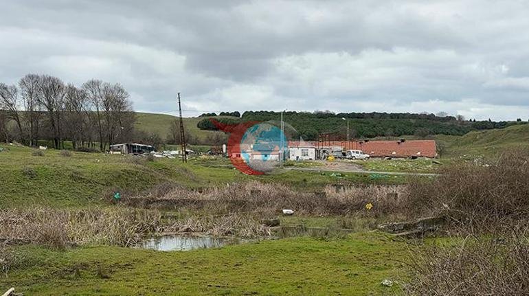 รiftlik evinde dehลet Tartฤฑลtฤฑฤฤฑ kiลinin boynunu elektrikli testere ile kesti