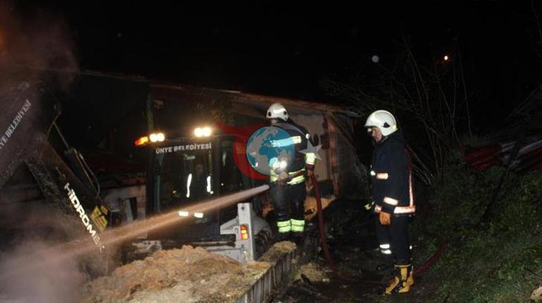 Ordu’da ahırda feci yangın 27 büyükbaş hayvan telef oldu