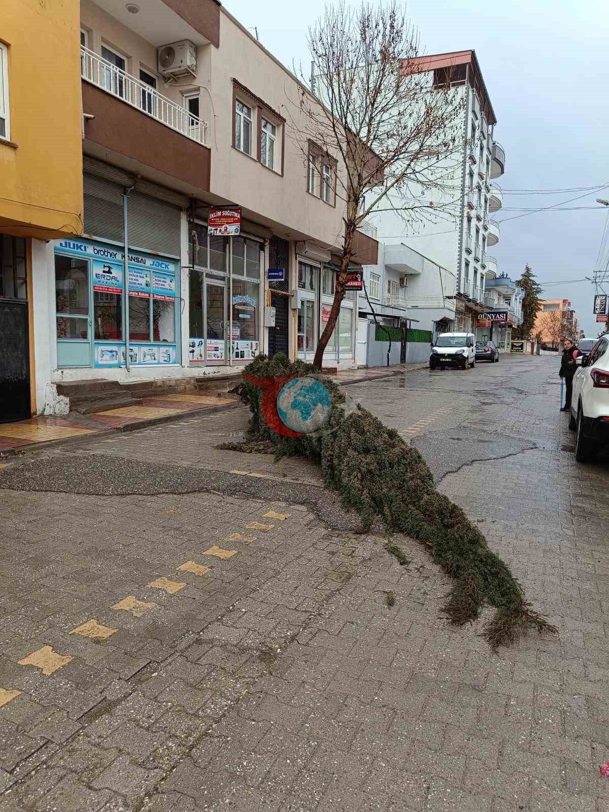 𐰴𐰀𐰴𐱃𐰀'𐰑𐰀 𐱁𐰃𐰓𐰓𐰀𐱅𐰠𐰃 𐰼𐰇𐰔𐰍𐰀𐰺 𐰲𐰀𐰢 𐰀𐰍𐰲𐰃𐰣𐰃 𐰓𐰀𐰋𐰃𐰼𐰓𐰃