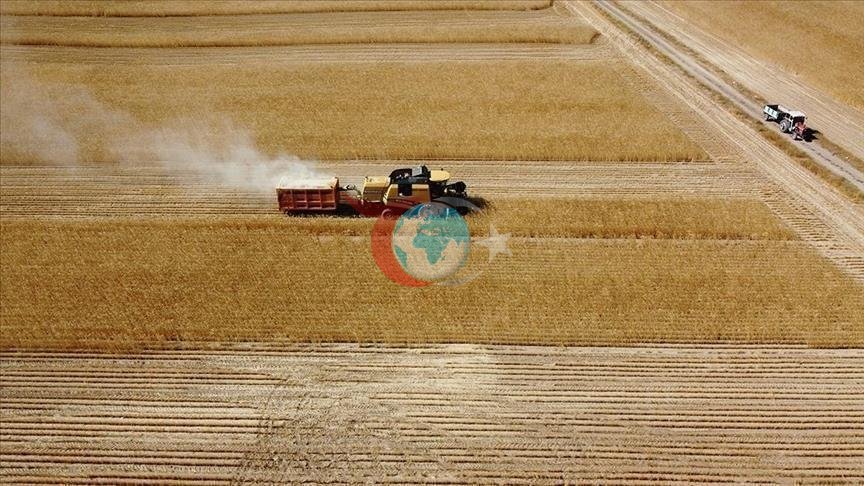 Çiftçilere 149 Milyon Liralık Tarımsal Destek Ödemesi Yapılıyor