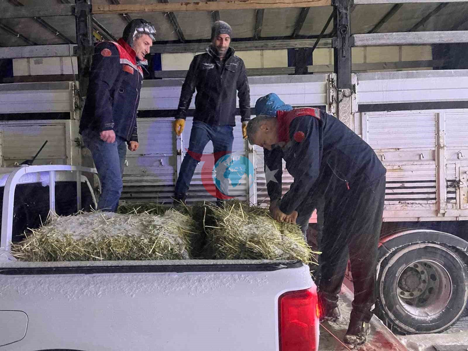 Hayvanlar aç kalmasın diye imdada yetiştiler