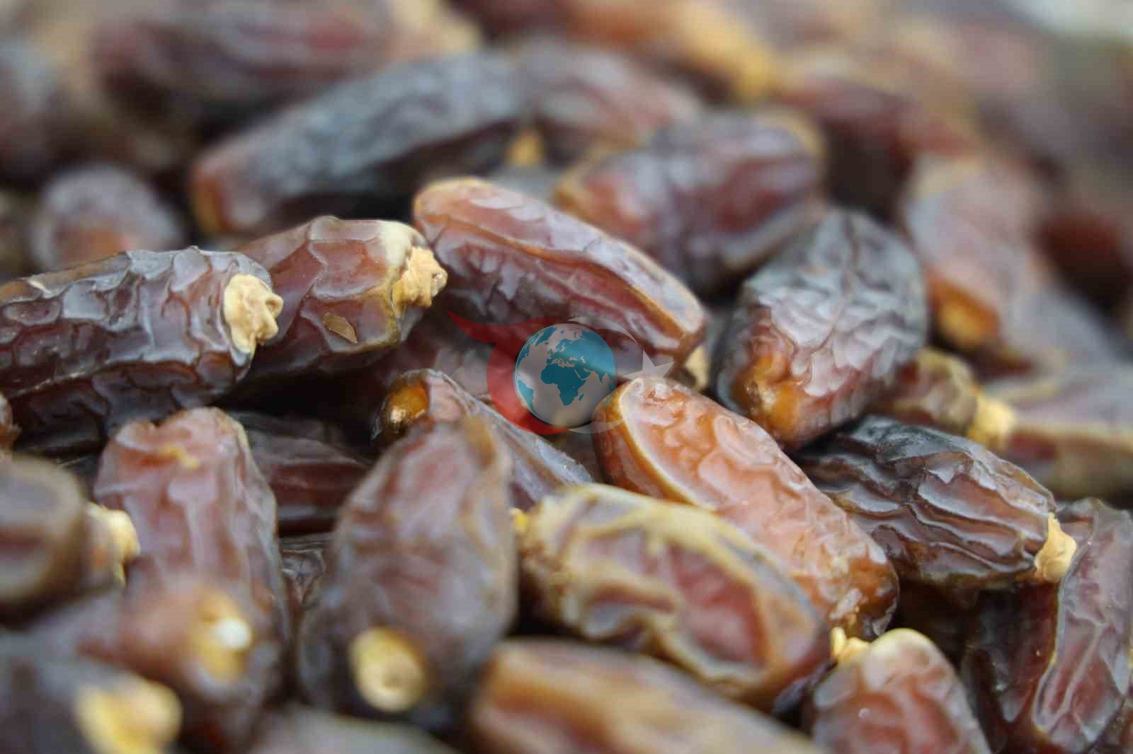 Ramazan ayฤฑ bereketi aktarlara yansฤฑdฤฑ