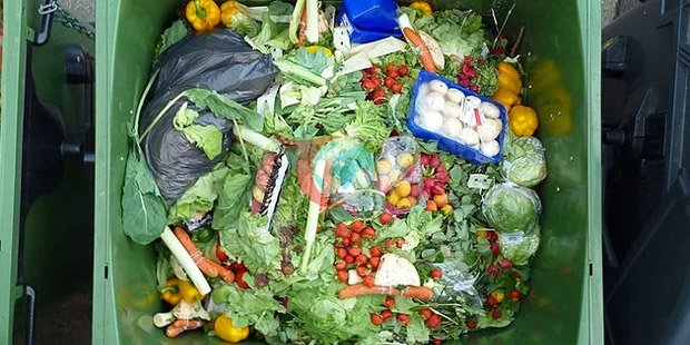 BM Gıda Çöpleri Raporu: Saniyede 29,5 ton çöpe gidiyor