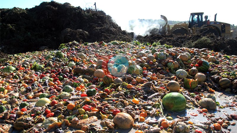 1,3 milyar ton gıda çöpe gidiyor, ekonomik karşılığı 1 trilyon dolar!