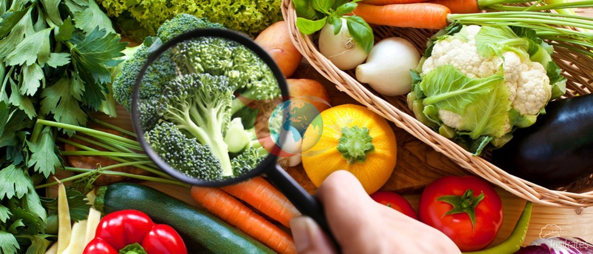 Gıda Güvenliği – Secopedia