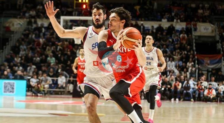 Sırbistan - Türkiye maçından bir kare