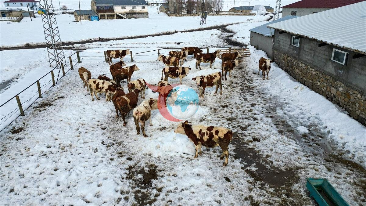 Plazalardan sıkıldı köyüne döndü