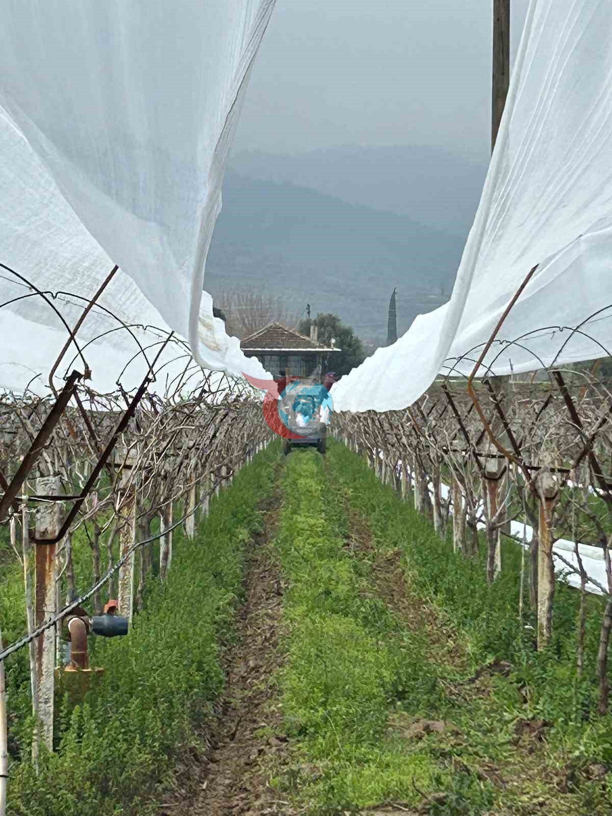 Dolu korkusuna fileli önlem