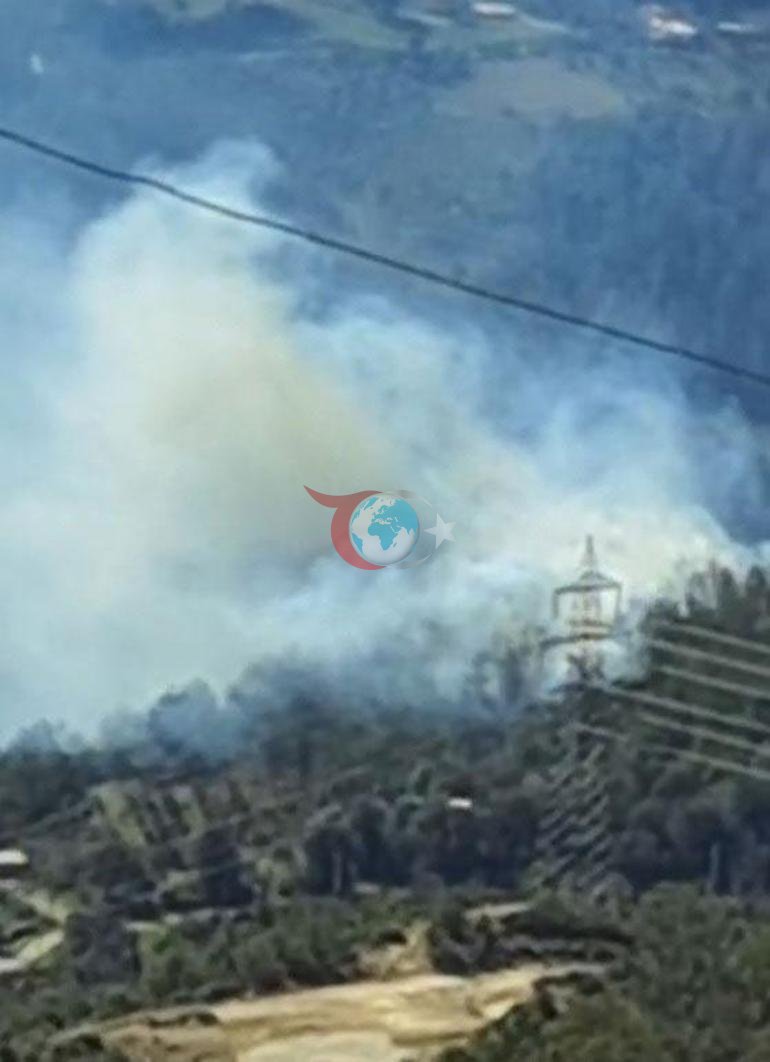 Osmaniyede orman yangını Ekipler olay yerine sevk edildi