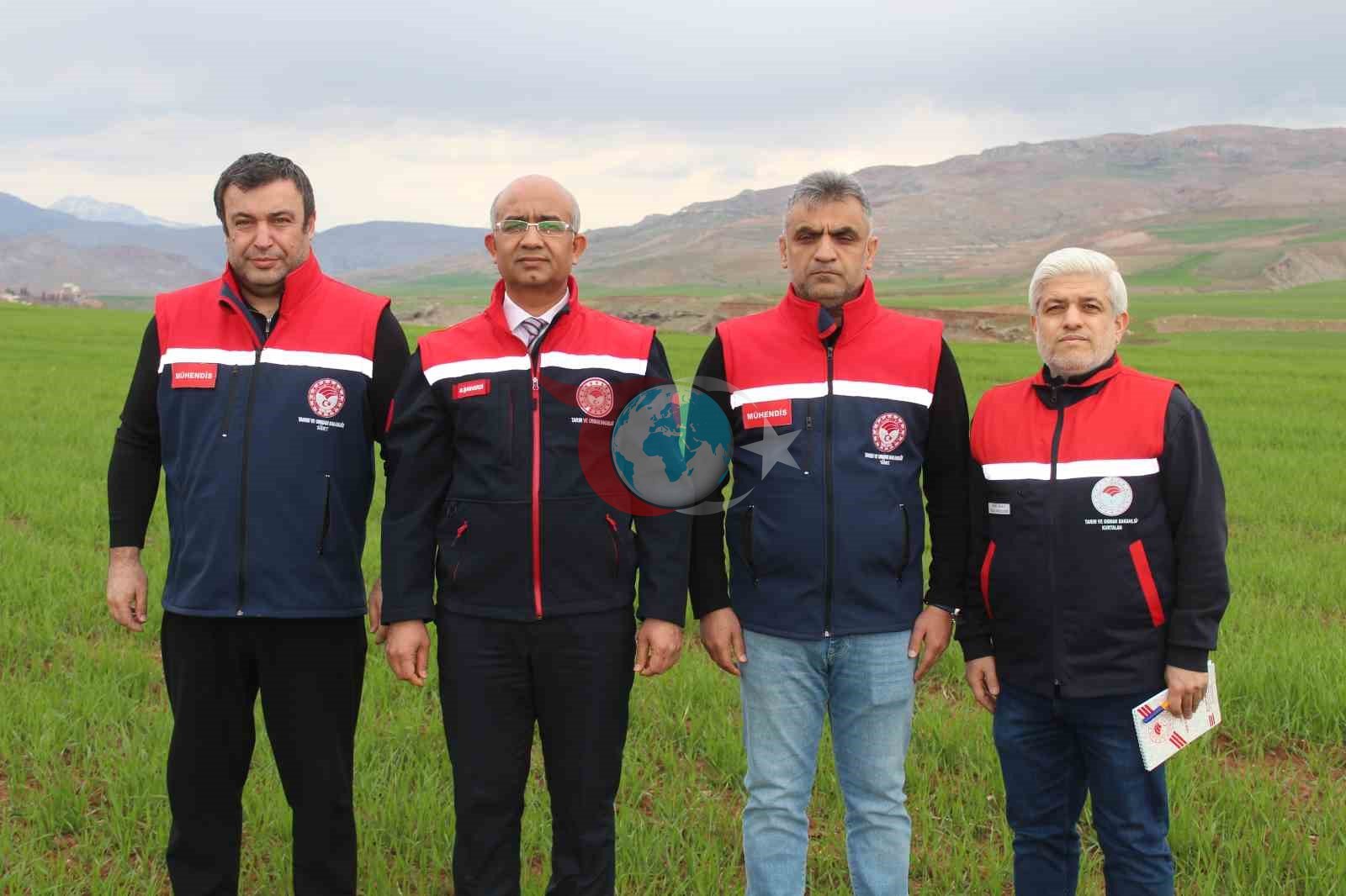 Siirt’te yağışlar yüzde 150 arttı, tarımsal hasıla beklentisi yükseldi