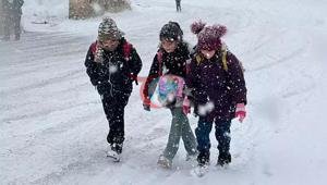 Vanda eğitime kar engeli İşte tatil olan ilçeler
