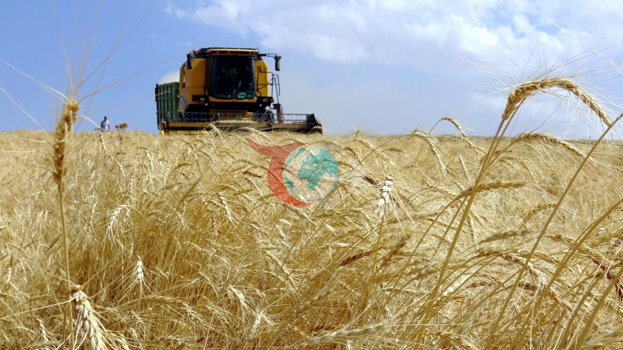 Çiftçilere 255,4 milyon lira destek ödemesi bugün yapılacak - Son Dakika Haberleri