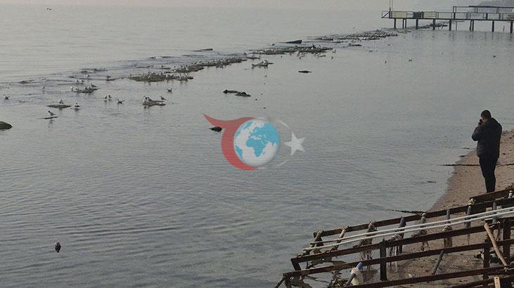 Tekirdağ'da Deniz Çekildi: Gizemli Kayalıklar Ortaya Çıktı!
