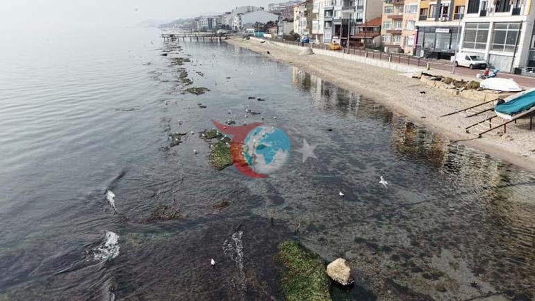 Tekirdağda sular çekildi, denizin dibinden çıktı