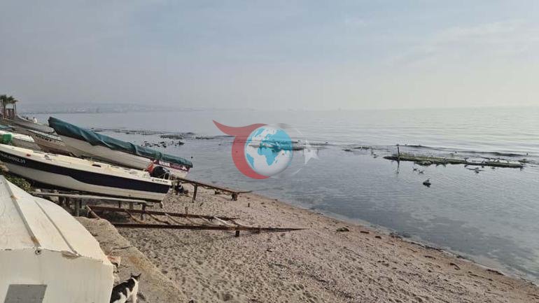 Tekirdağda sular çekildi, denizin dibinden çıktı