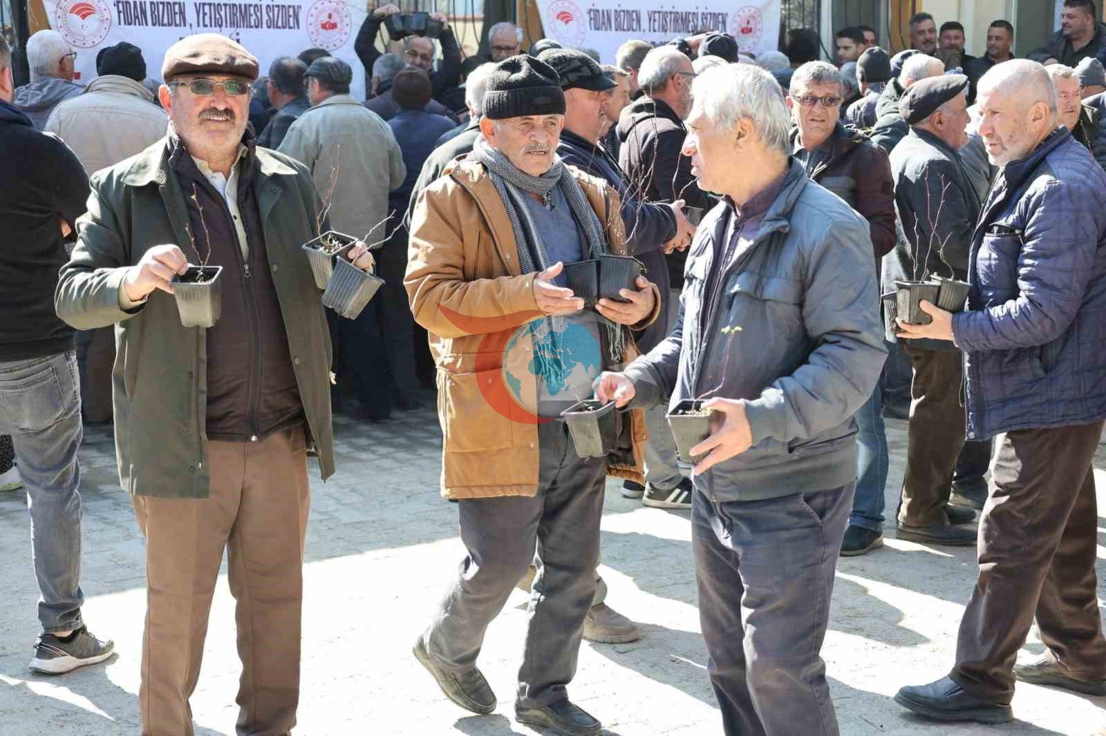 Üreticilere ücretsiz fidan dağıtımı yapıldı