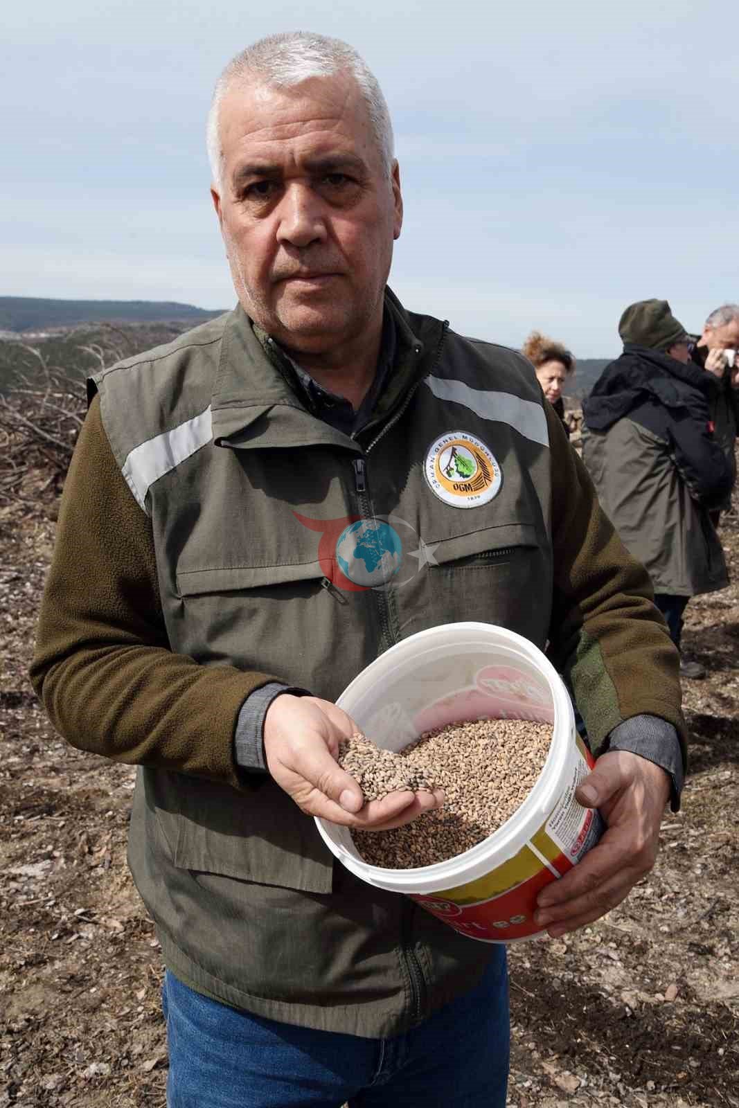 Eskişehir&rsquo;de yangın sonrası ağaçlandırma çalışmaları başladı