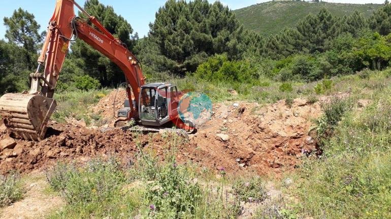 Bir ailenin karanlık sırrı Kuma getirilen 17 yaşındaki Yaseminin korkunç sonu