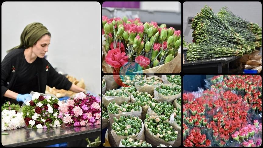 Türkiye'den Dünya Kadınlar Günü'ne Özel 80 Milyon Çiçek Gönderimi