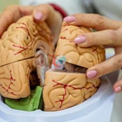 Yaşlanmanızı 5 yıl geciktiriyor! Bunama riskini %40'a kadar azaltıyor