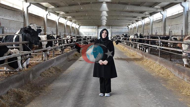 Ev hanฤฑmlฤฑฤฤฑndan patronluฤa: Devlet destek verdi, 900 hayvanฤฑn bulunduฤu รงiftliฤin sahibi oldu