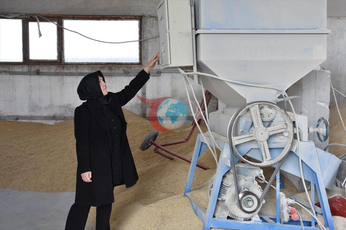 Ev hanımlığından dev çiftlik sahipliğine: 900 büyükbaşla çiftlik sahibi oldu