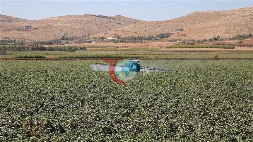 Tarımda maliyetleri düşürecek karar: