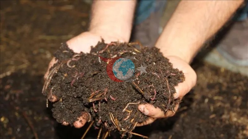 Gübre fiyatları artıyor: Savaş gıda krizini tetikler mi?-3