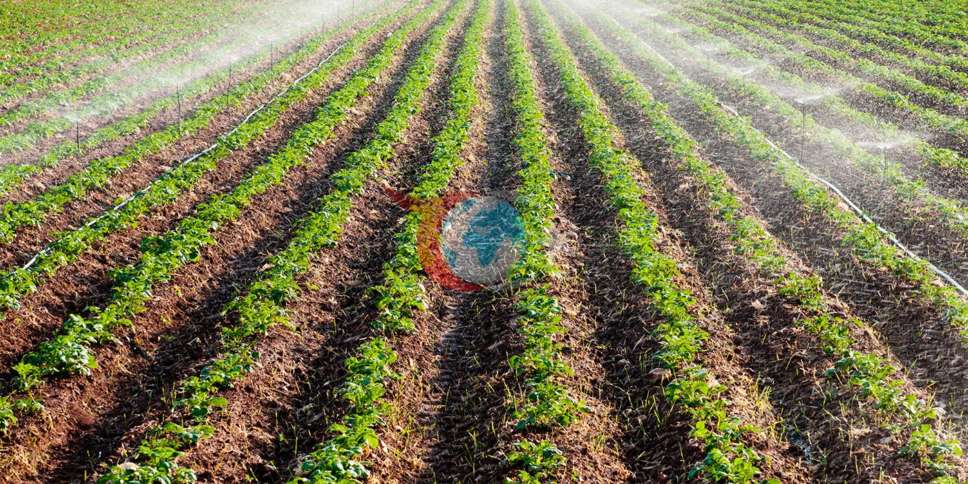 Tarla tarım sistemleri ve yetiştirilen ürünler