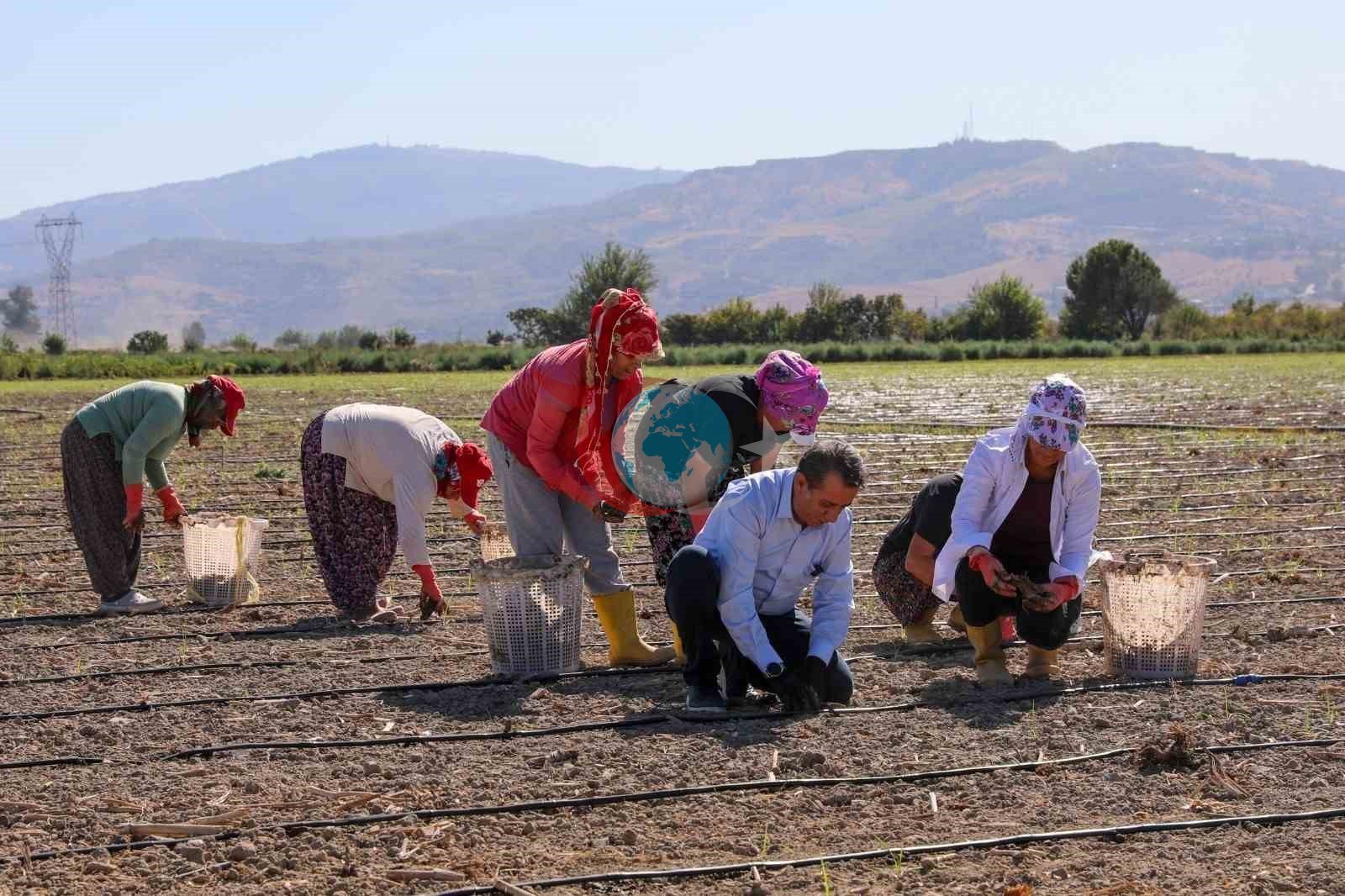 Başkan Yetişkin&rsquo;den 8 Mart Dünya Kadınlar Günü mesajı