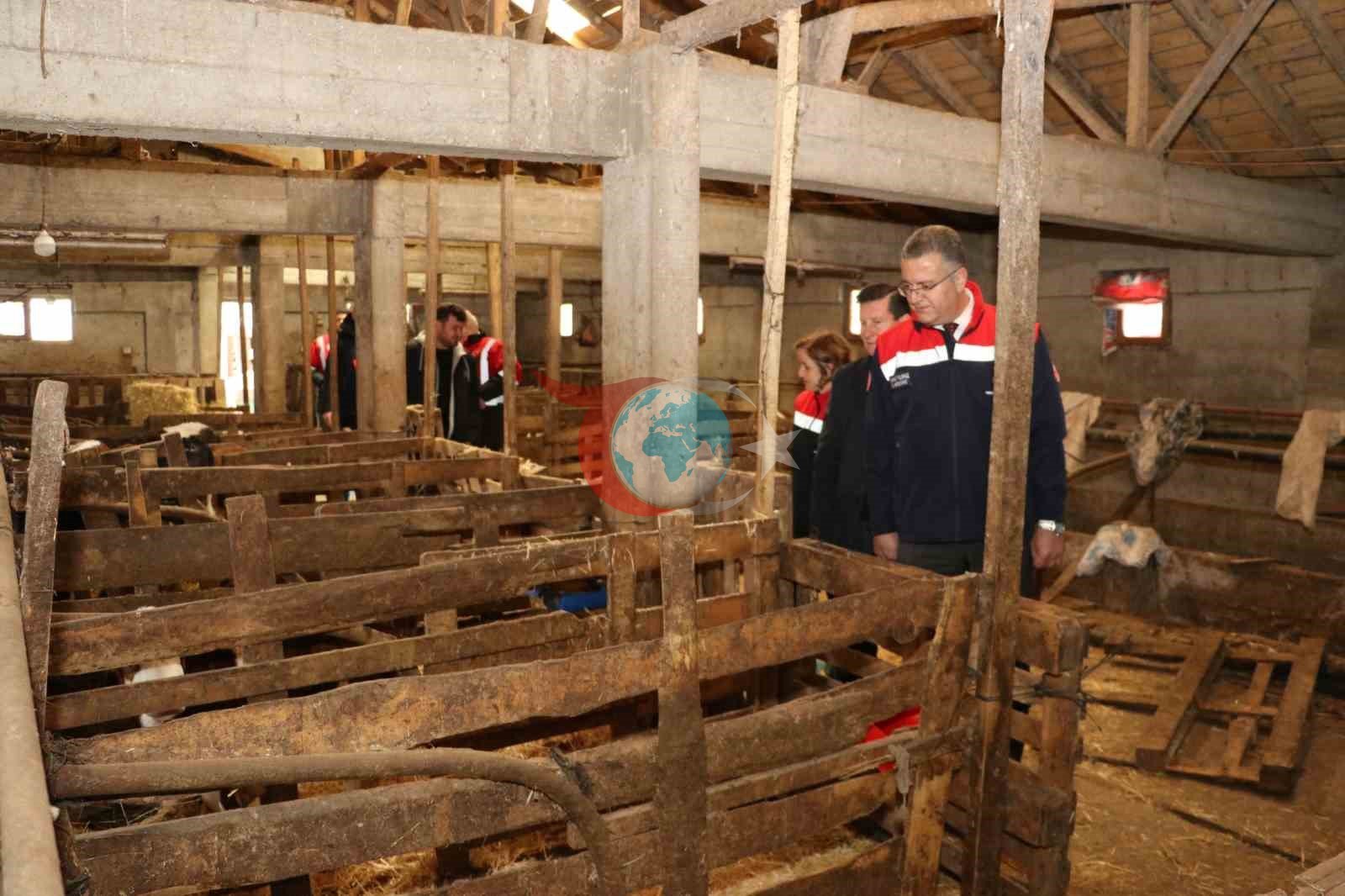 Samsun&rsquo;da ari işletme sayısı artıyor